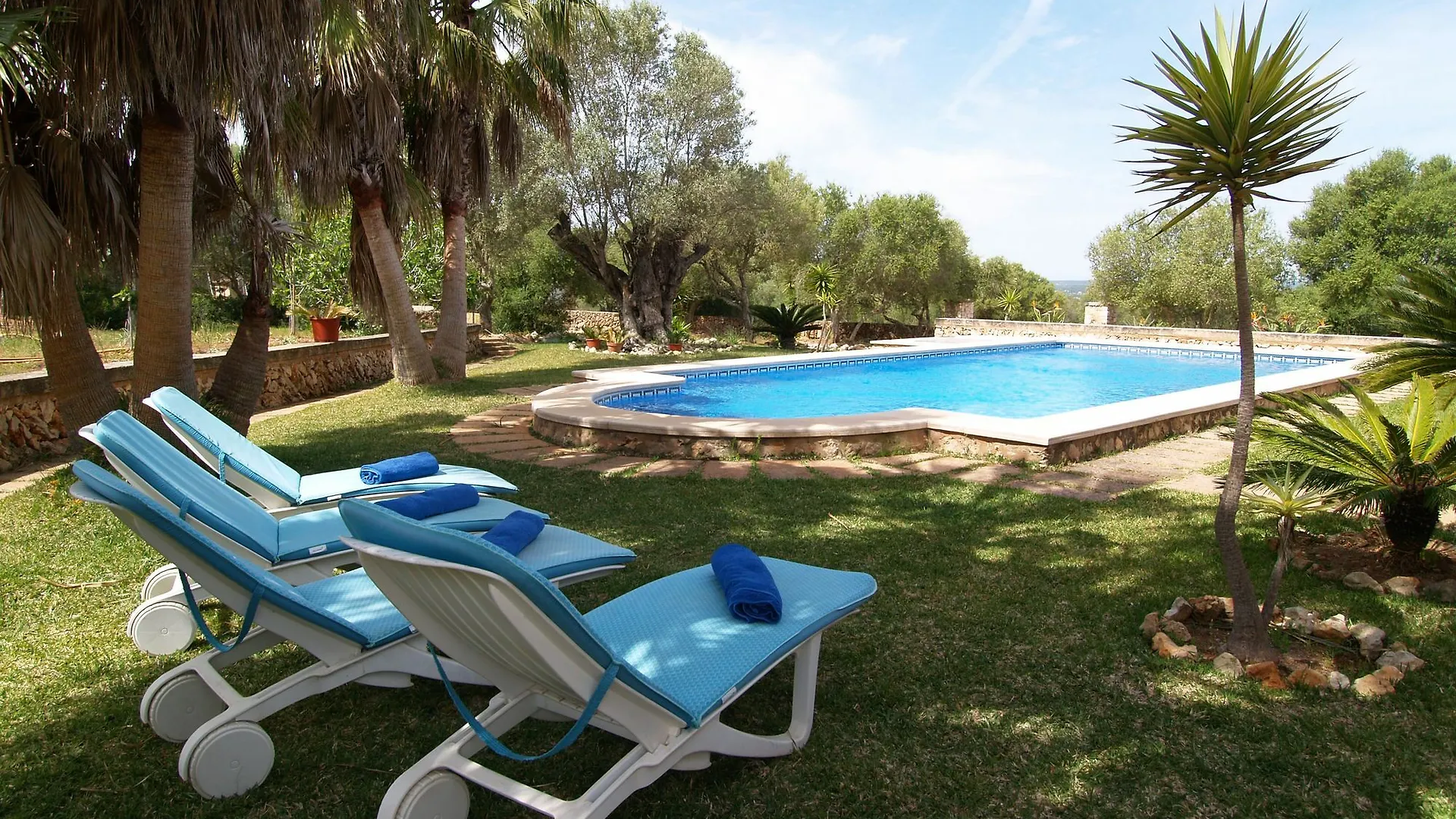 Finca Palea Campos  Spain